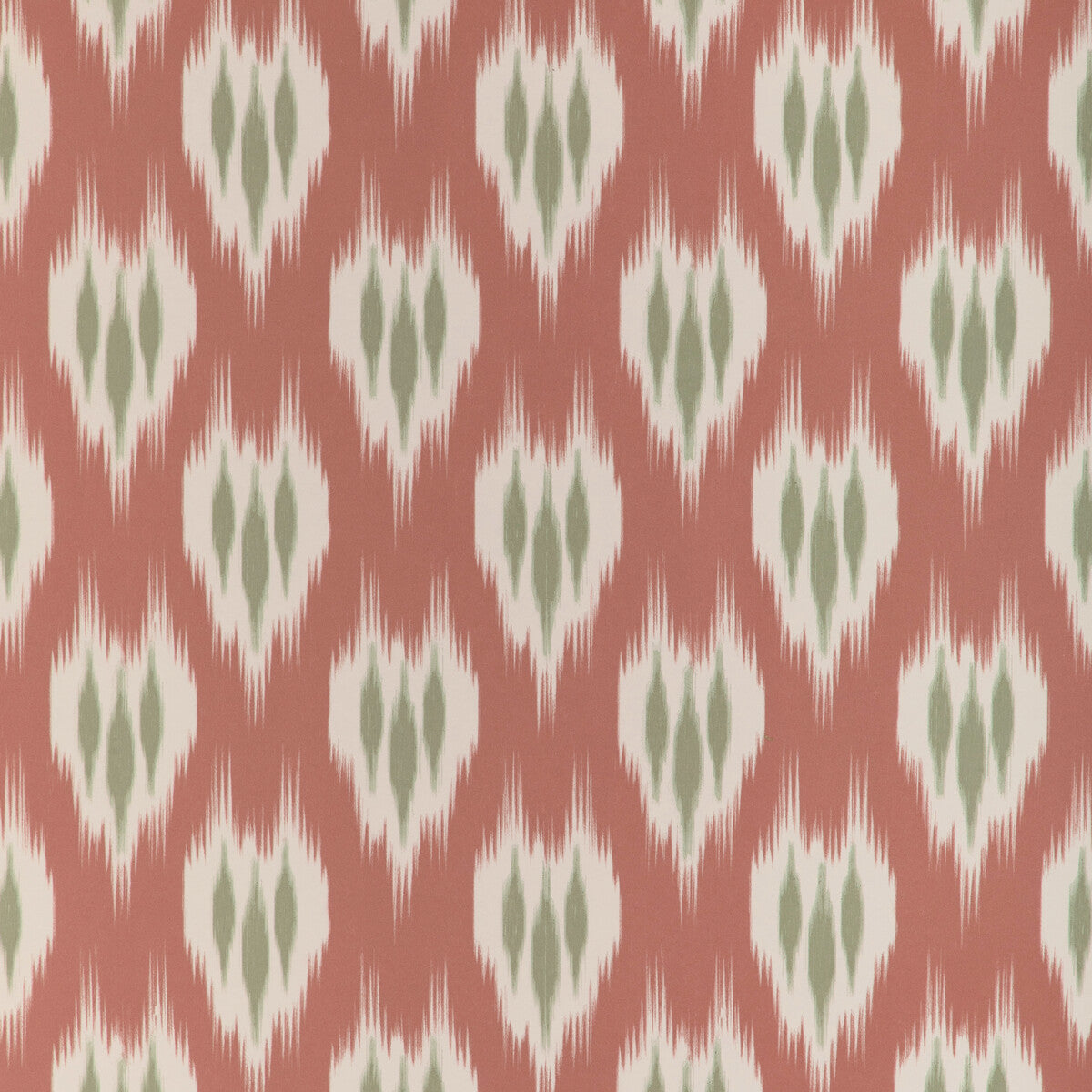 Clare Paper-Coral