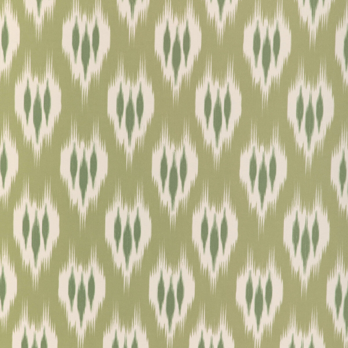 Clare Paper-Moss