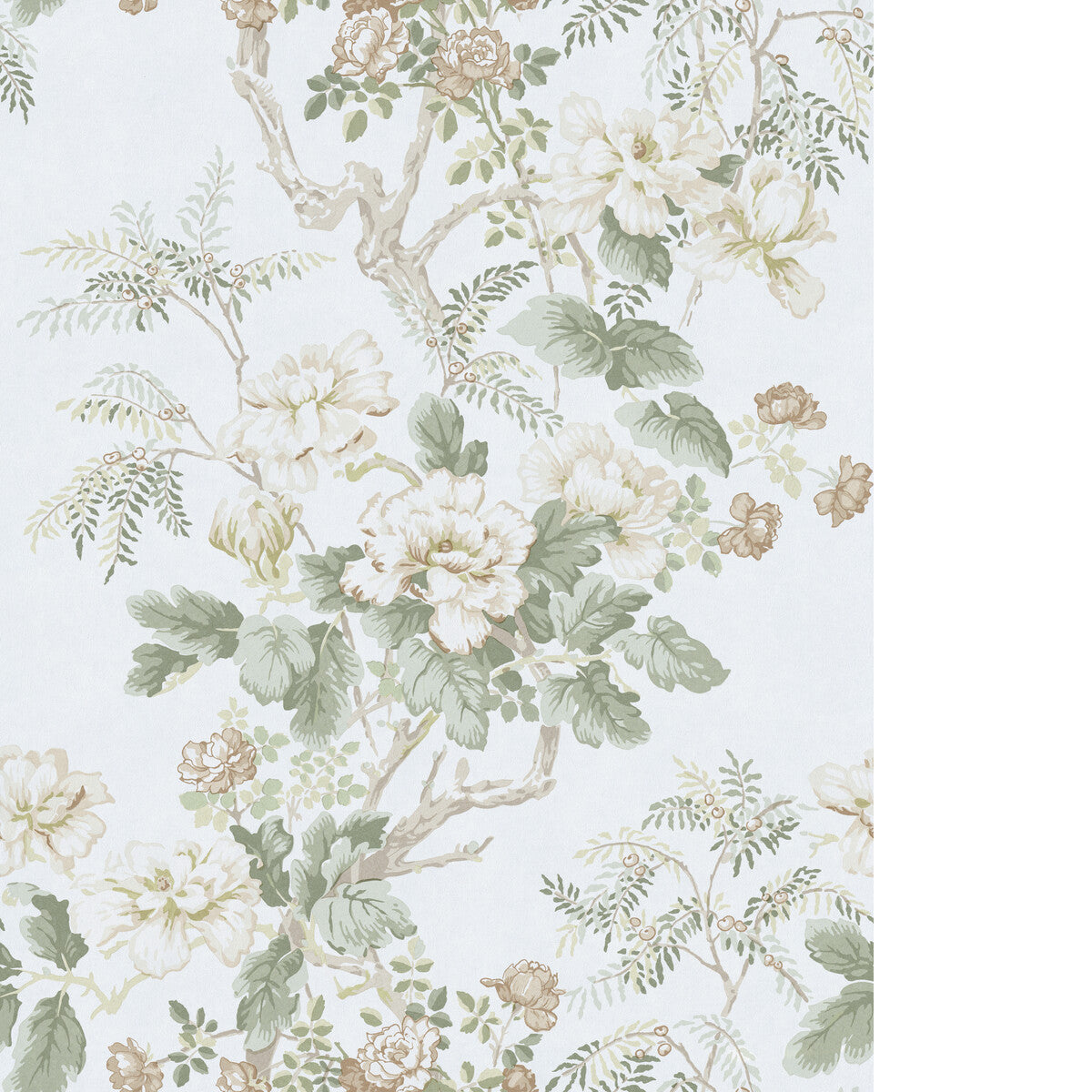 Chinese Peony Wp-Beige