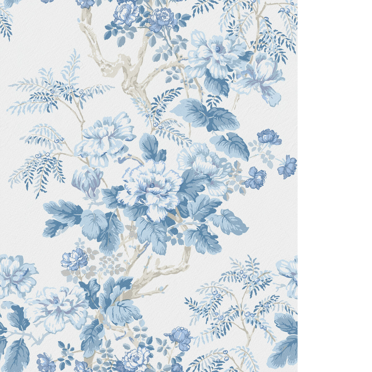 Chinese Peony Wp-Horizon