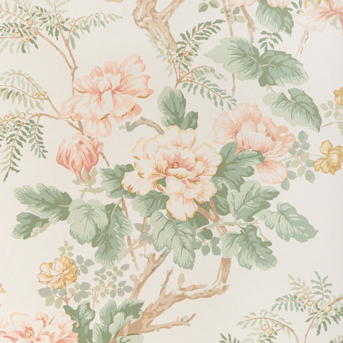 Chinese Peony Wp-Blush