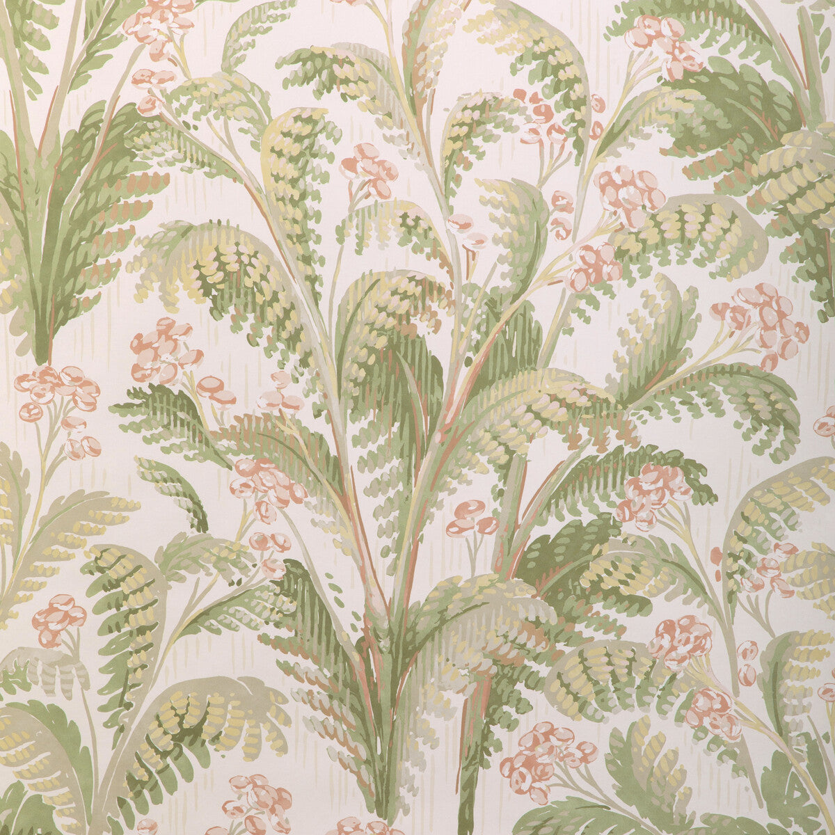 Pashley Paper-Blush