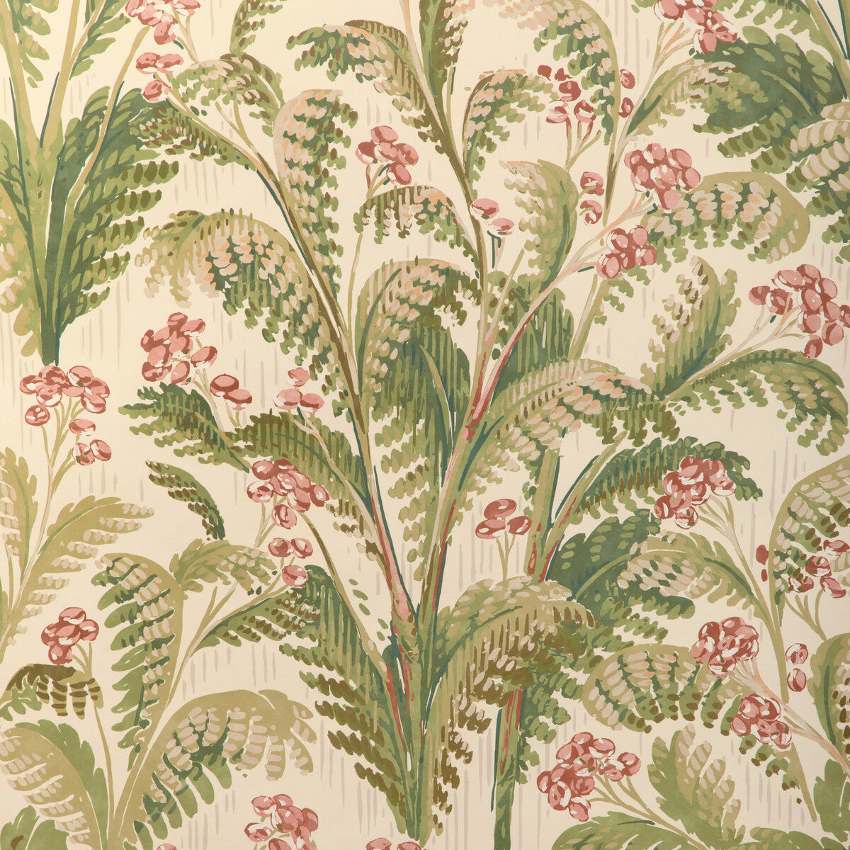 Pashley Paper-Berry