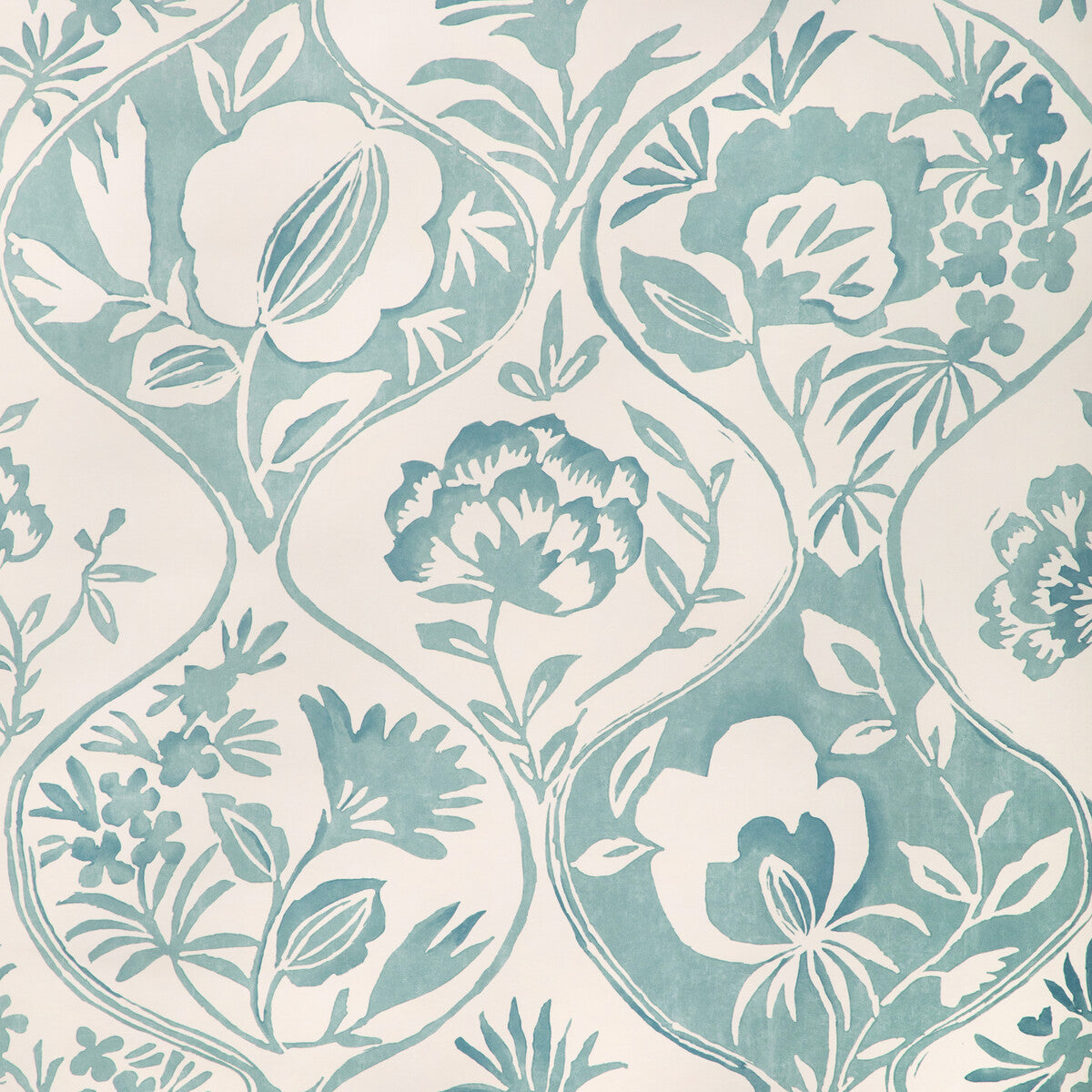 Calathea Paper-Aqua