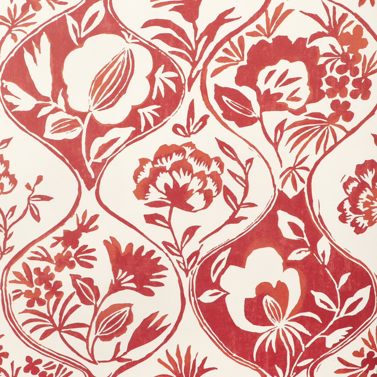 Calathea Paper-Red
