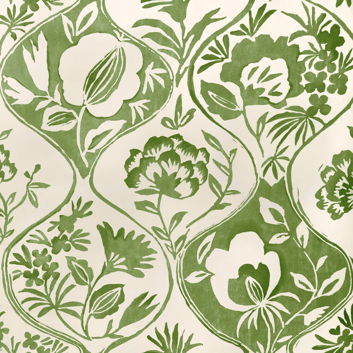 Calathea Paper-Leaf