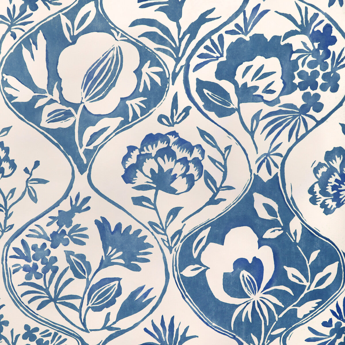 Calathea Paper-Blue