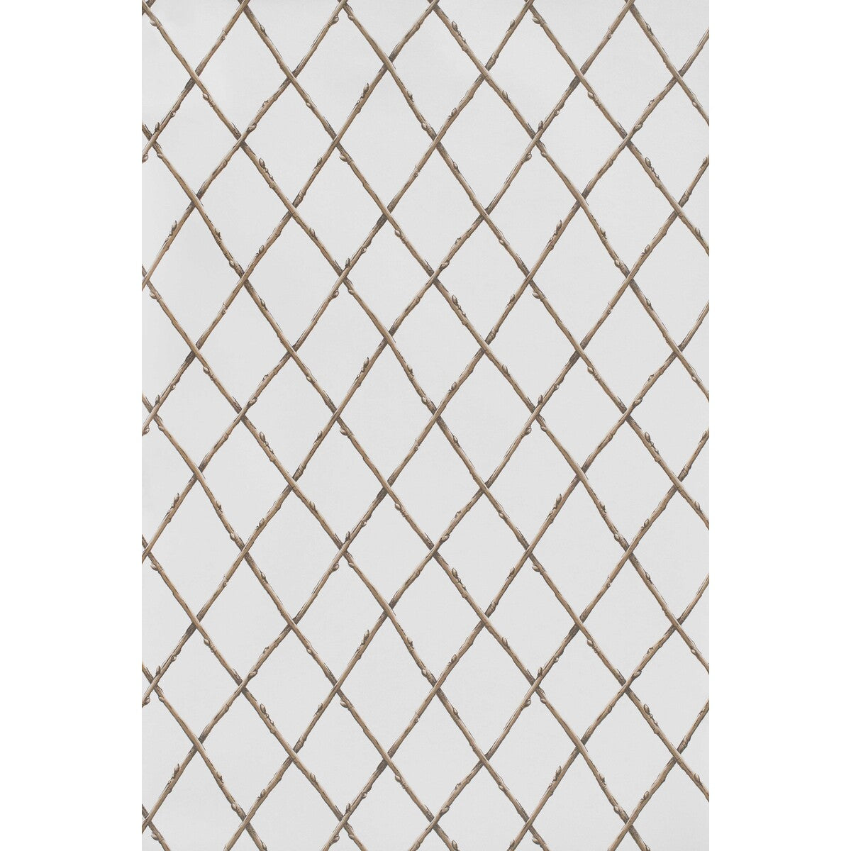 Bare Twig Trellis Wp-Brown