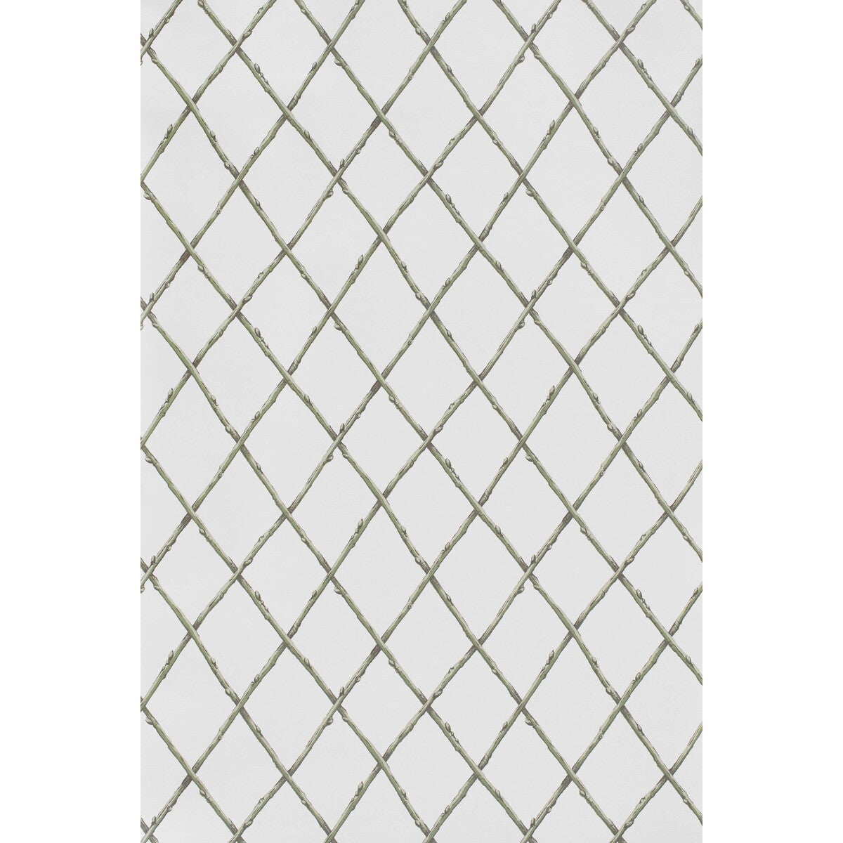 Bare Twig Trellis Wp-Green
