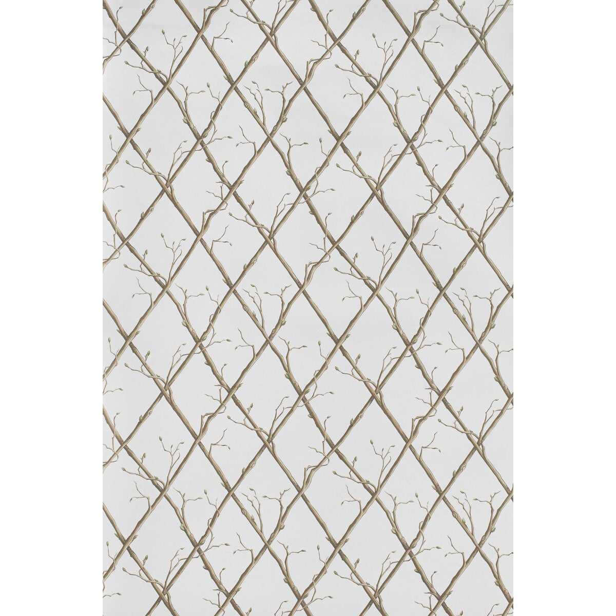 Twig Trellis Wp-Brown