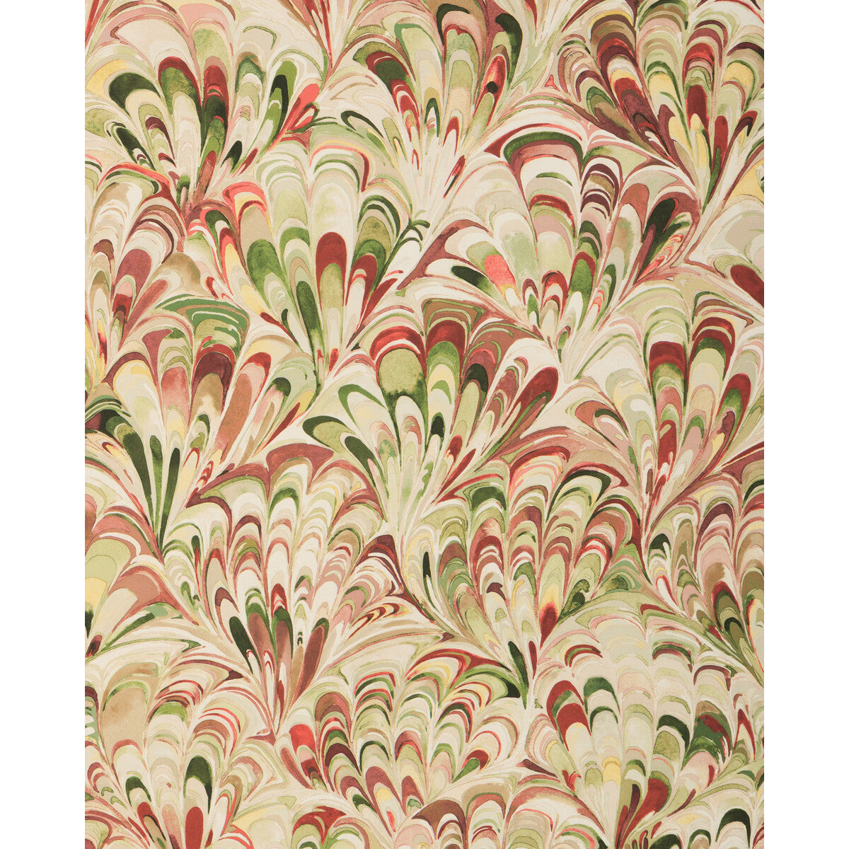 Ellis Paper-Berry
