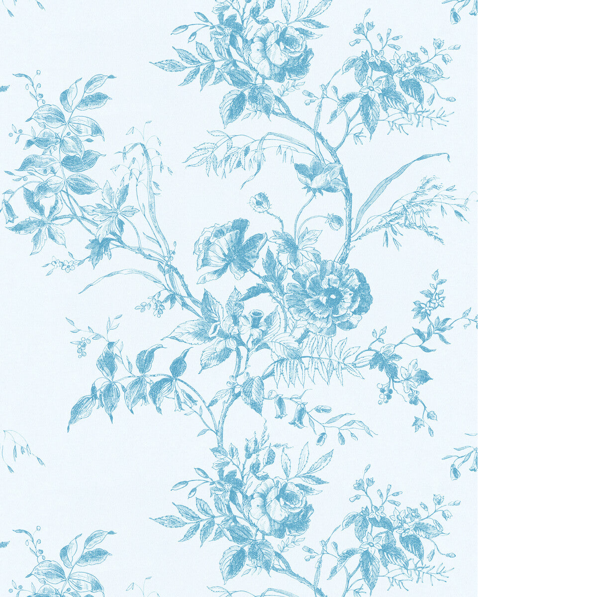 Tea Rose Toile Wp-Blue