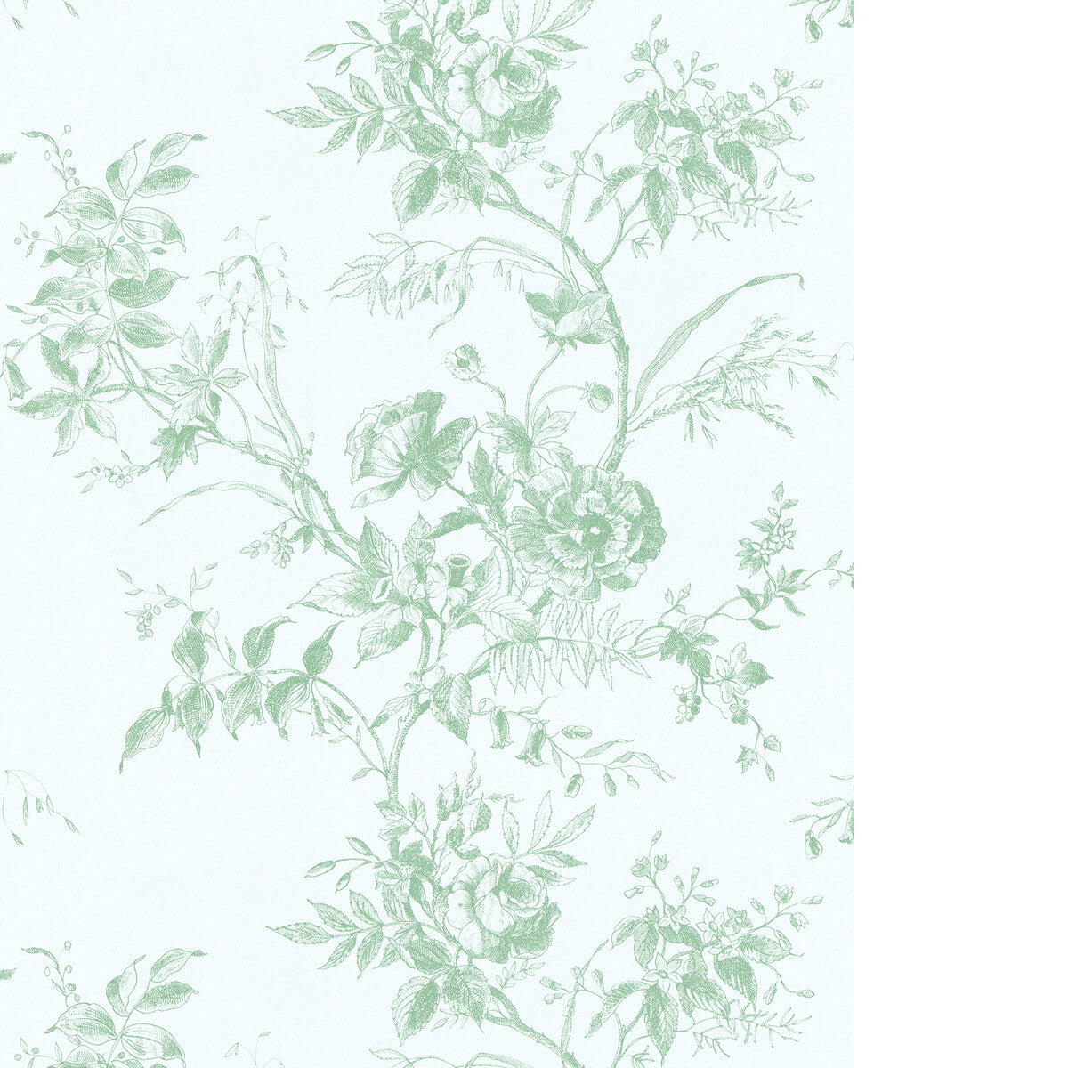 Tea Rose Toile Wp-Leaf