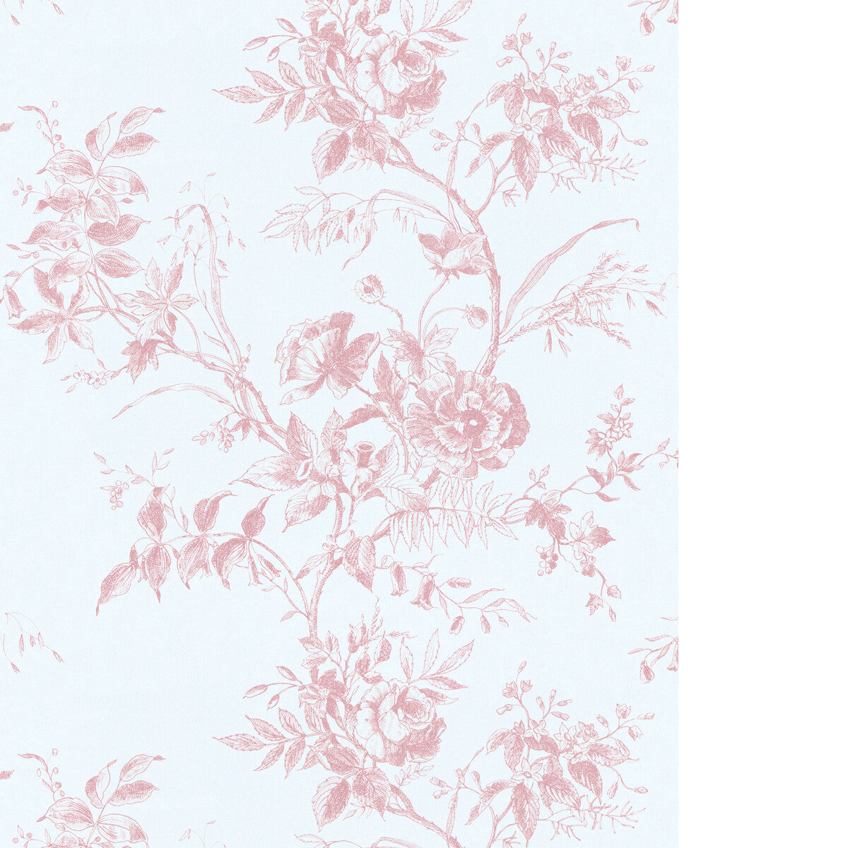 Tea Rose Toile Wp-Rose