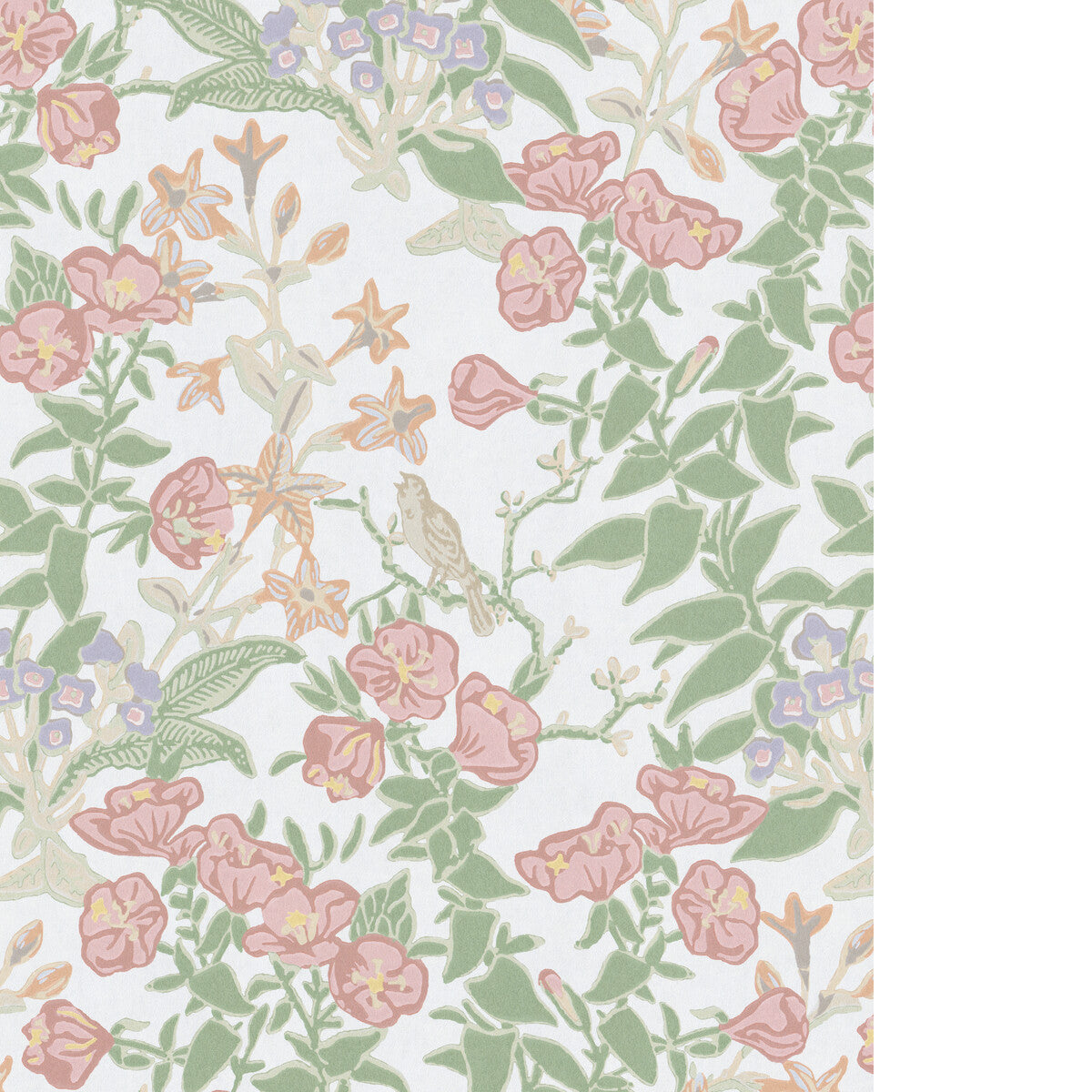 Plumeria Paper-Rose