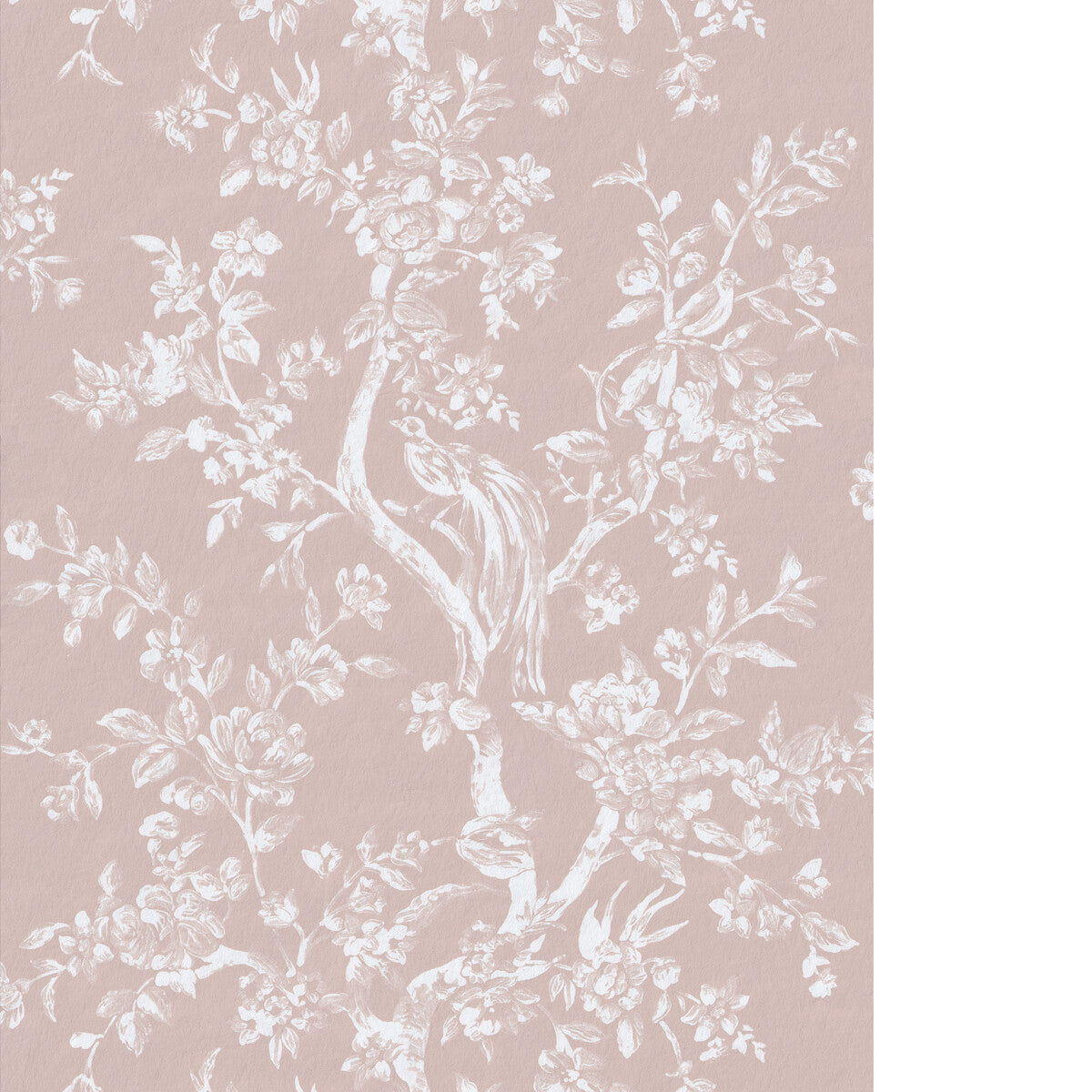 Camellia Toile Wp-Petal