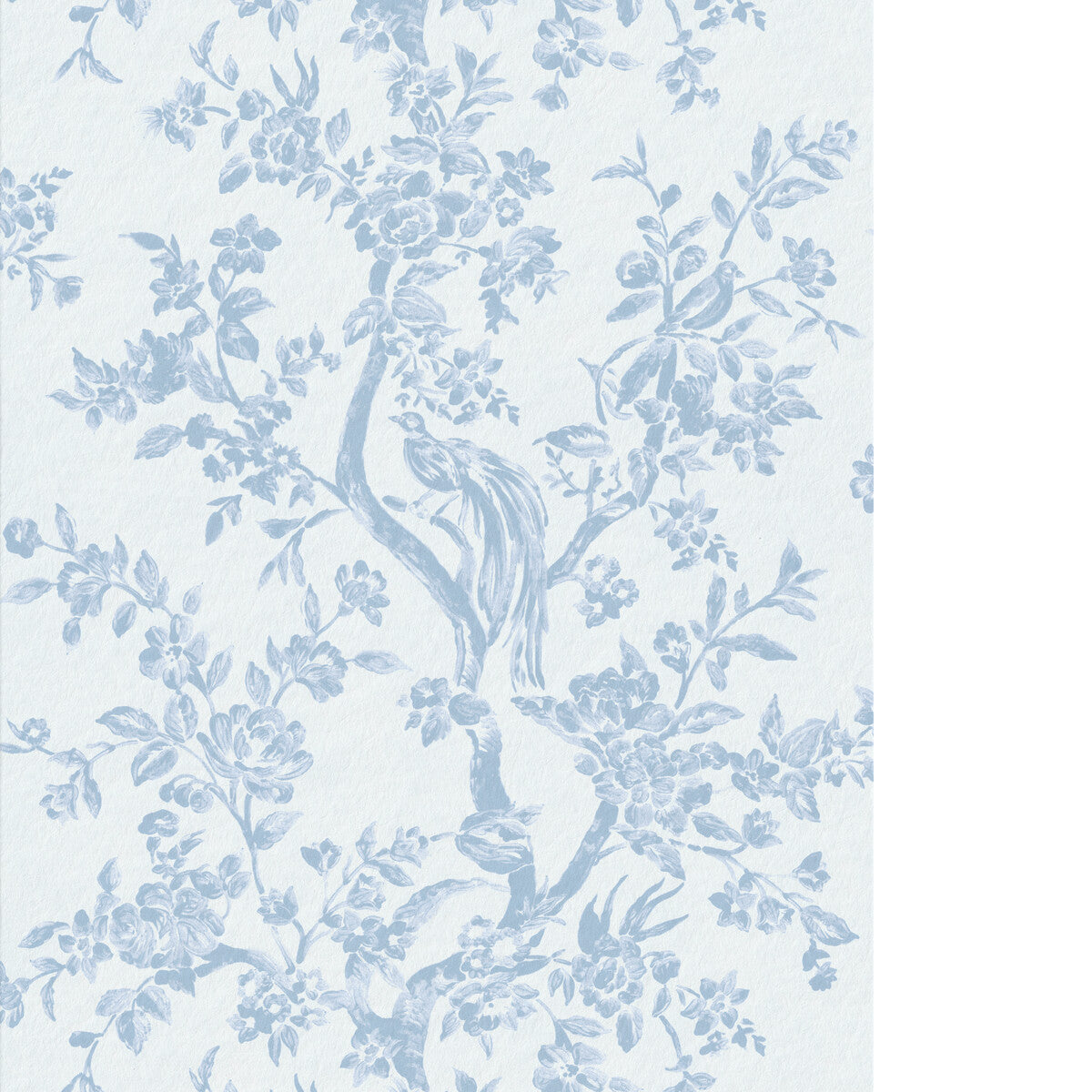 Camellia Toile Wp-Sky