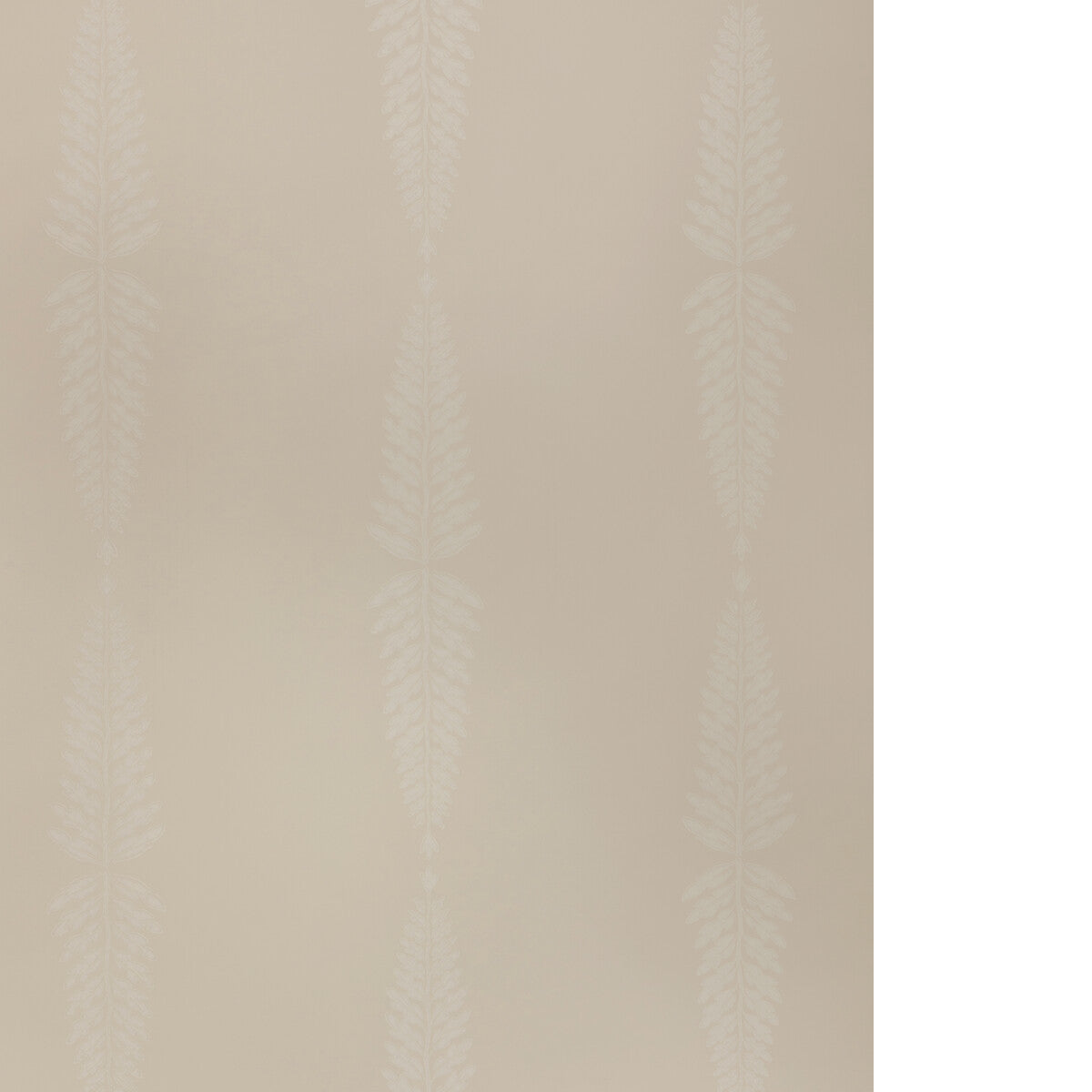 Glade Fern-Beige