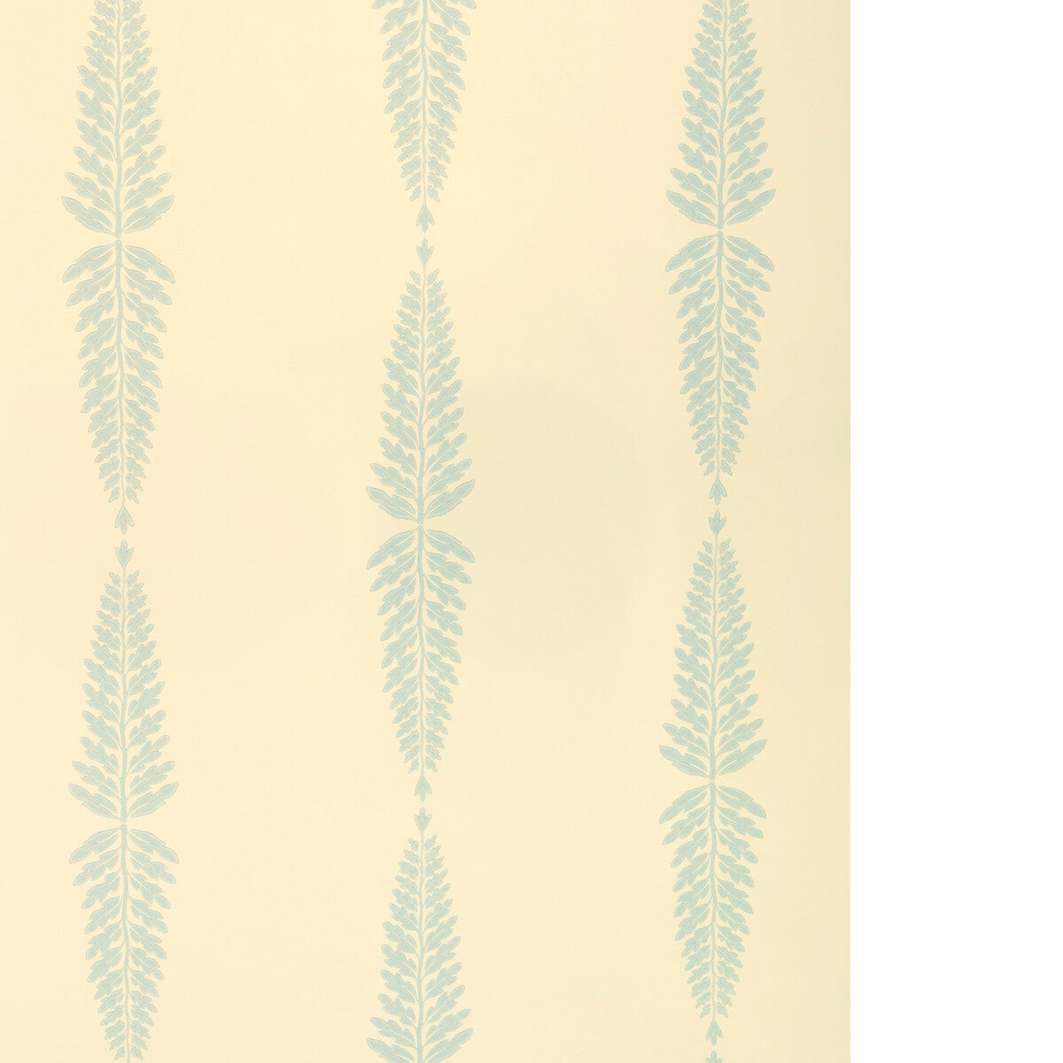 Glade Fern-Sky