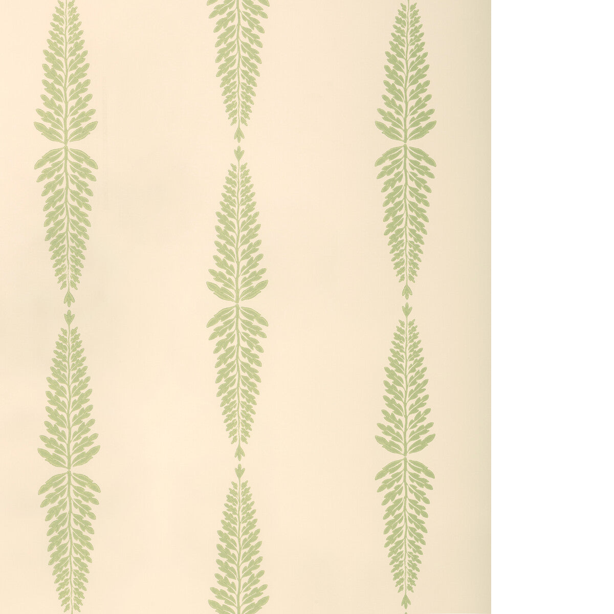 Glade Fern-Sage