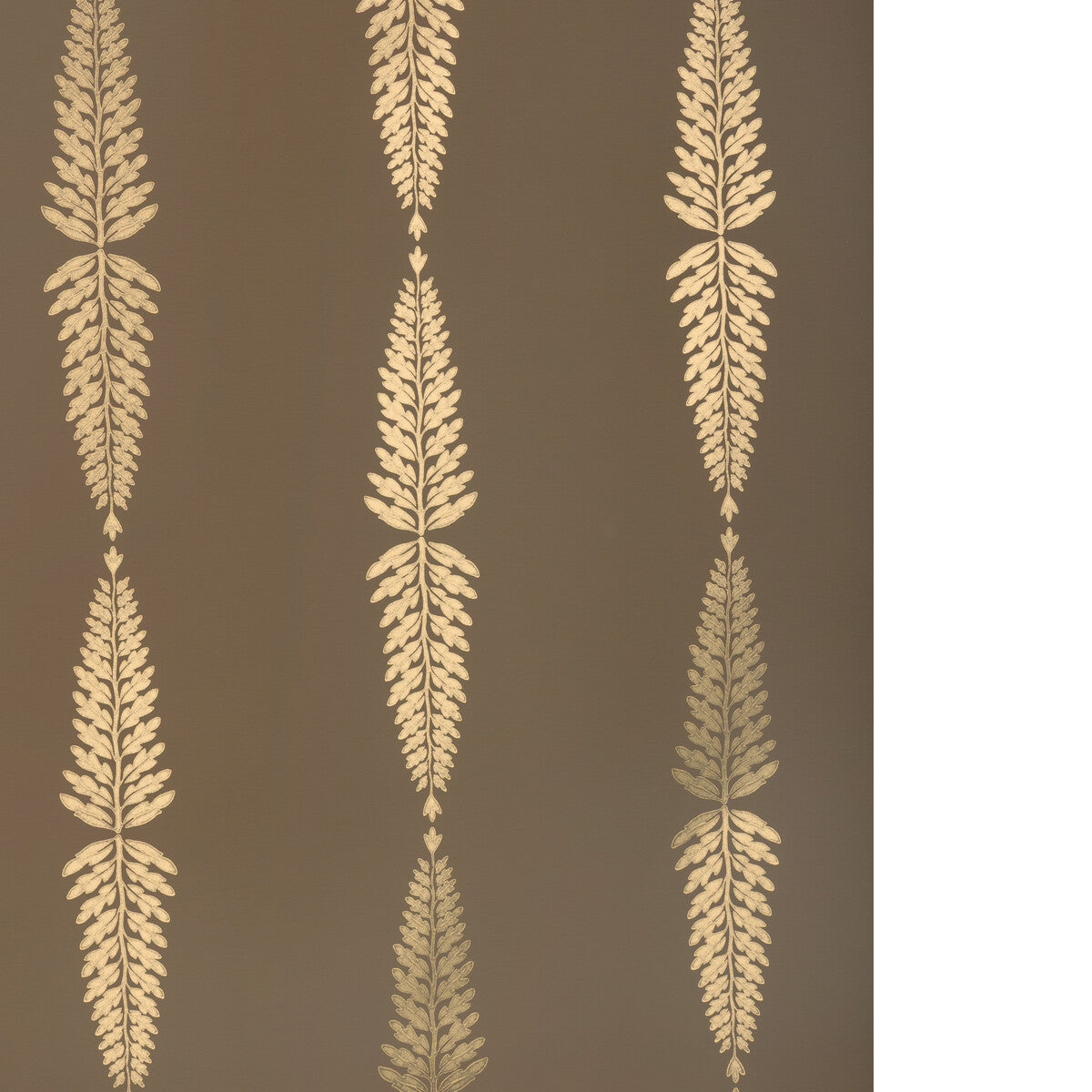 Glade Fern-Carob
