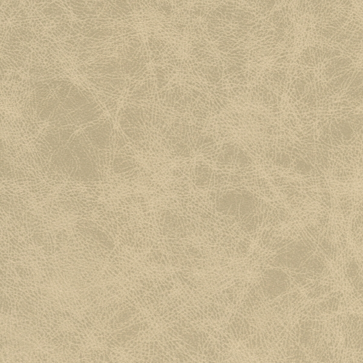 Kravet Design-Patch-11