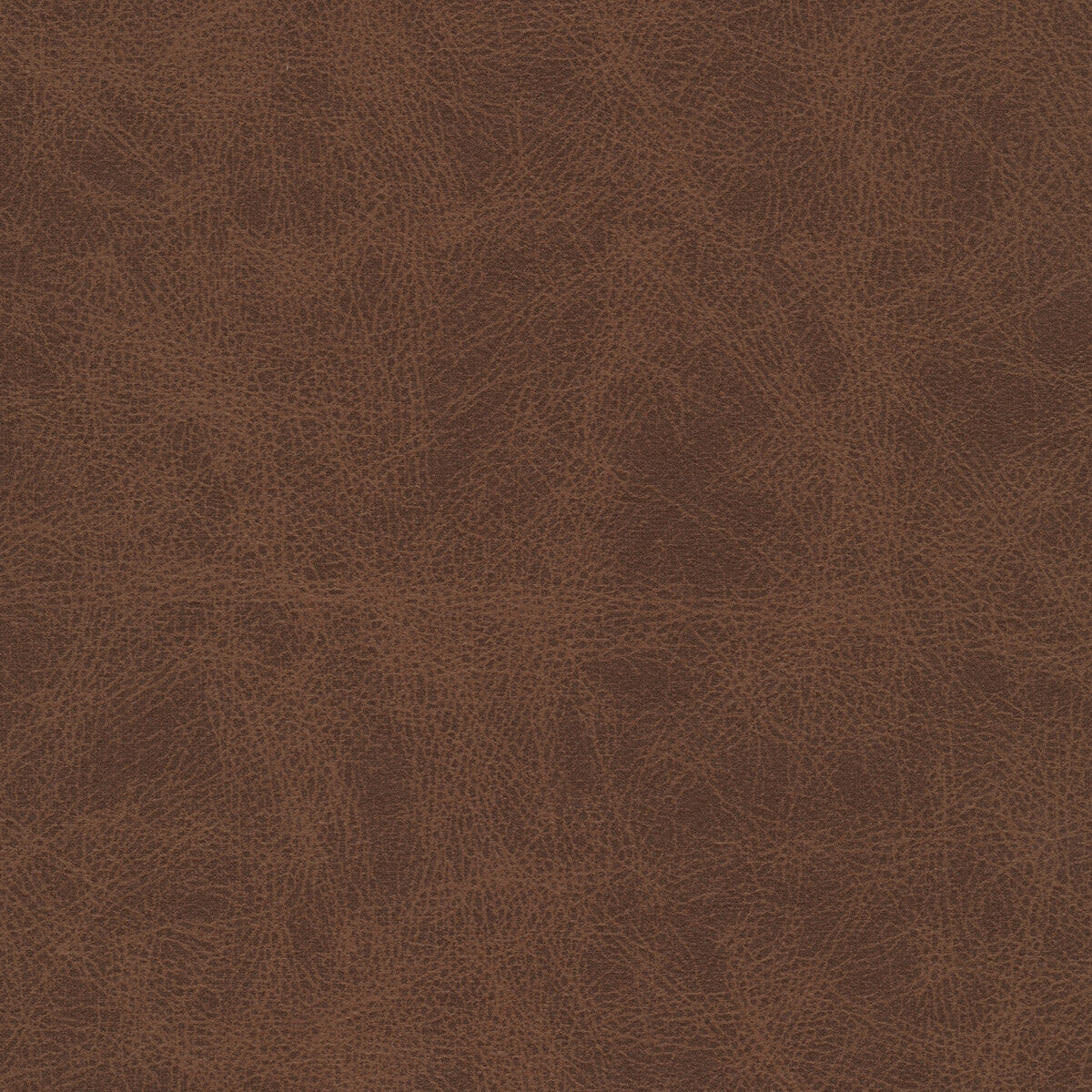 Kravet Design-Patch-6