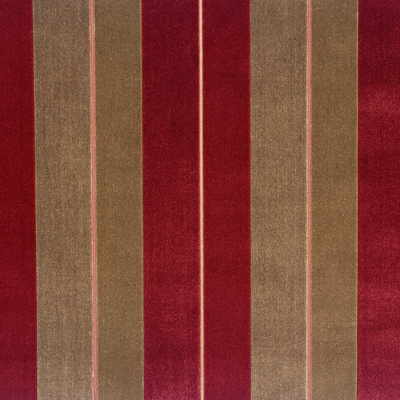 Marco Stripe-Terr/Bisc