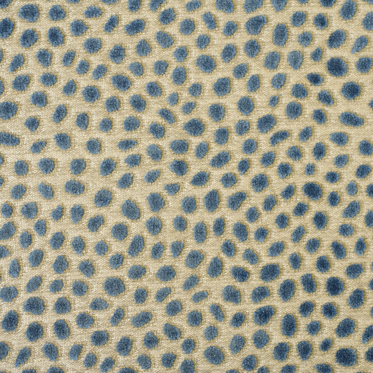 Cosma-Blue