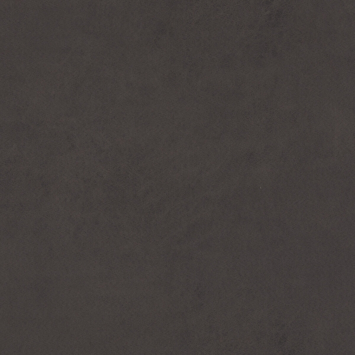 Lexham-Anthracite