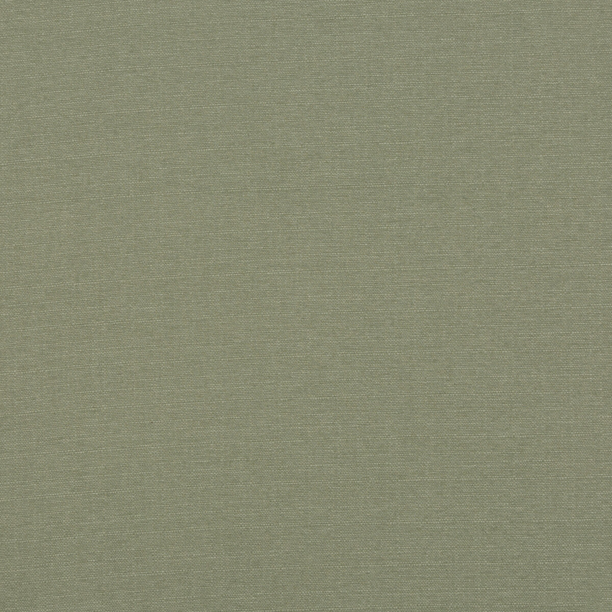 Lansdowne-Fern