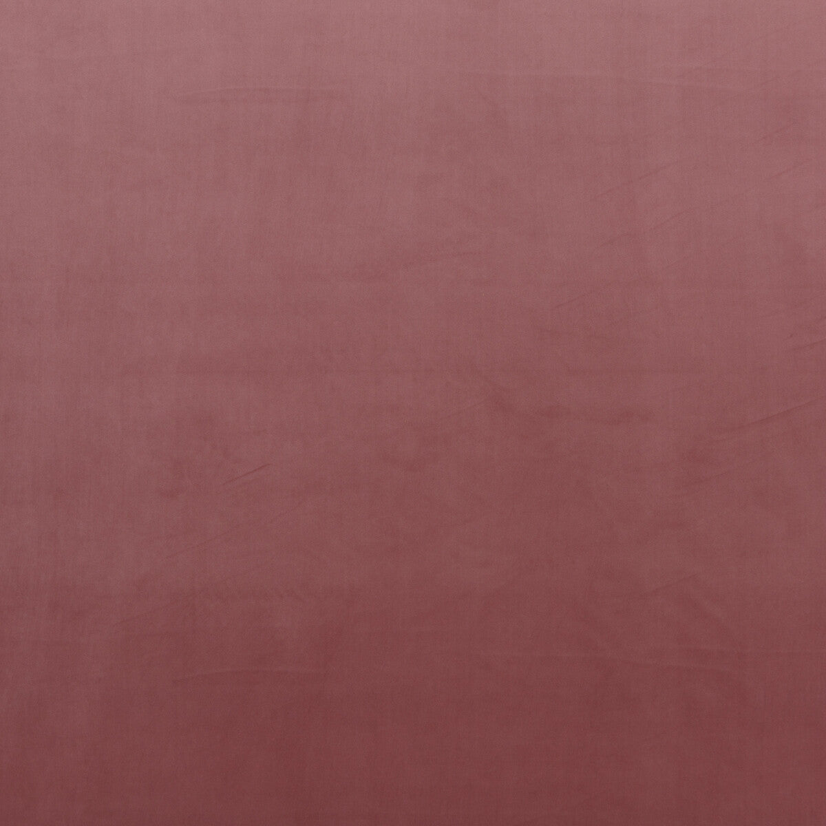Montpellier Velvet-Rose