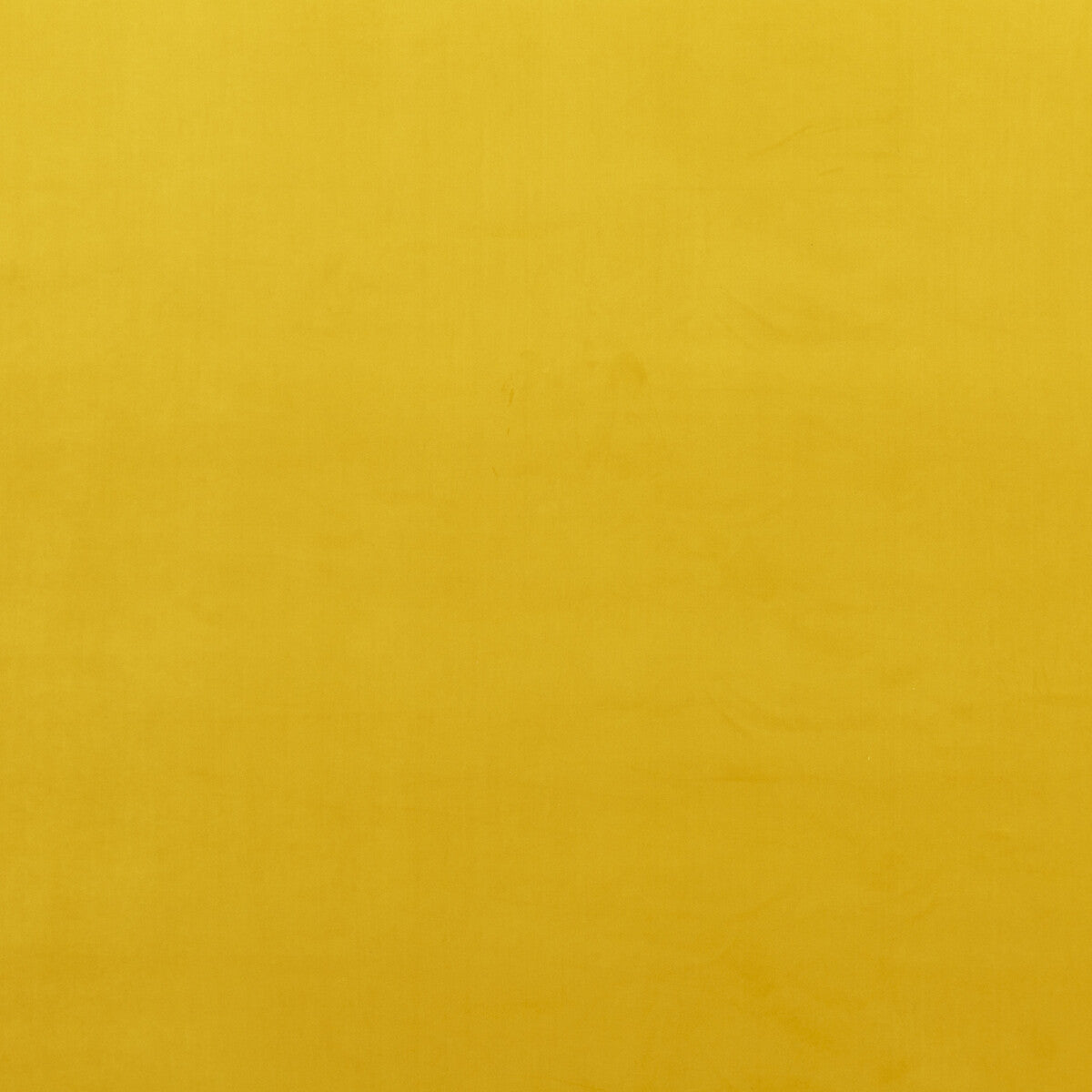 Montpellier Velvet-Ochre