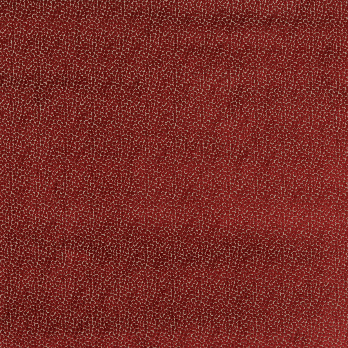 Salsa Spot-Red