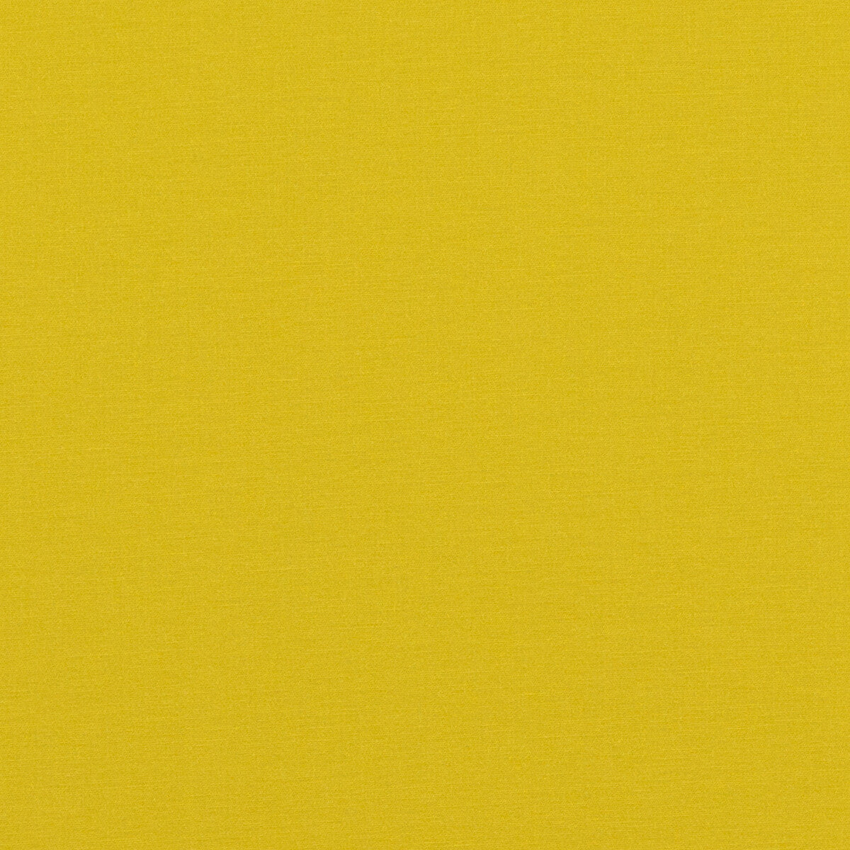 Pavilion-Citrus