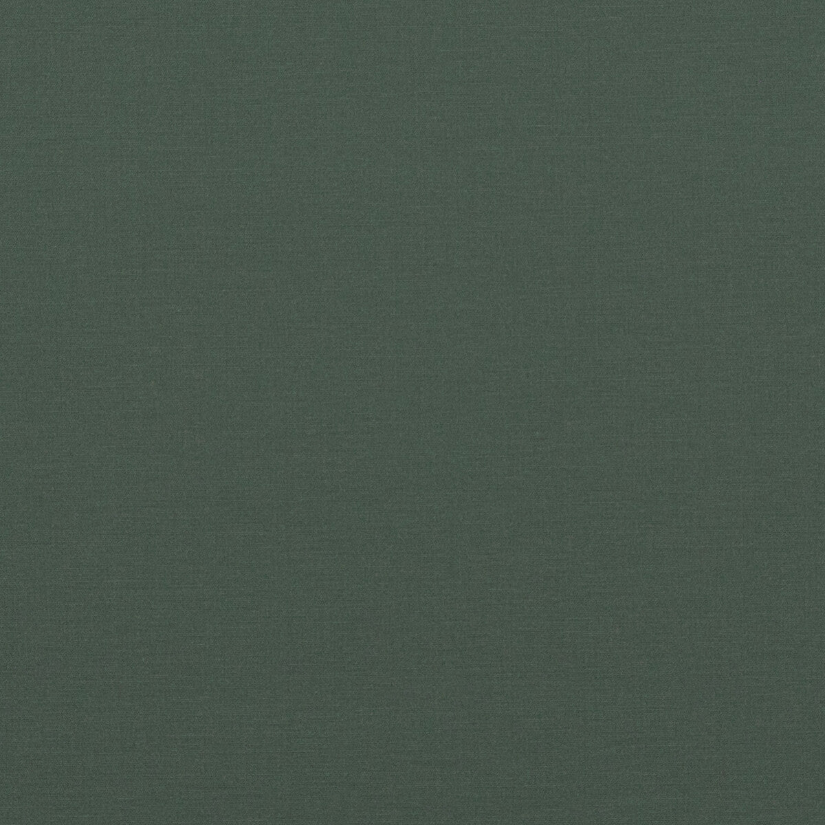 Pavilion-Spruce