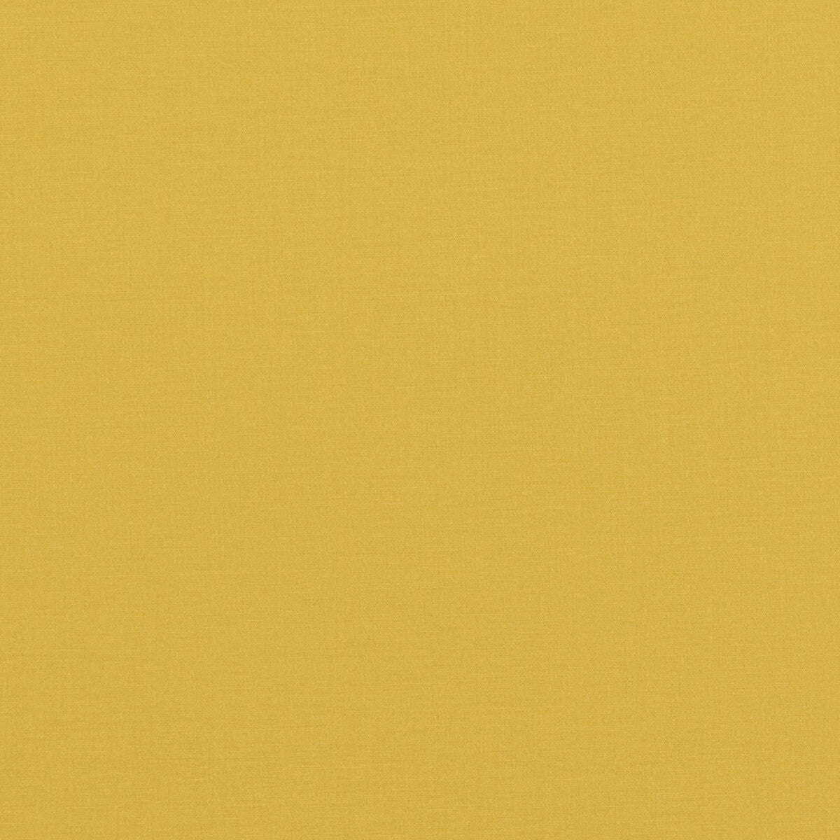Pavilion-Yellow