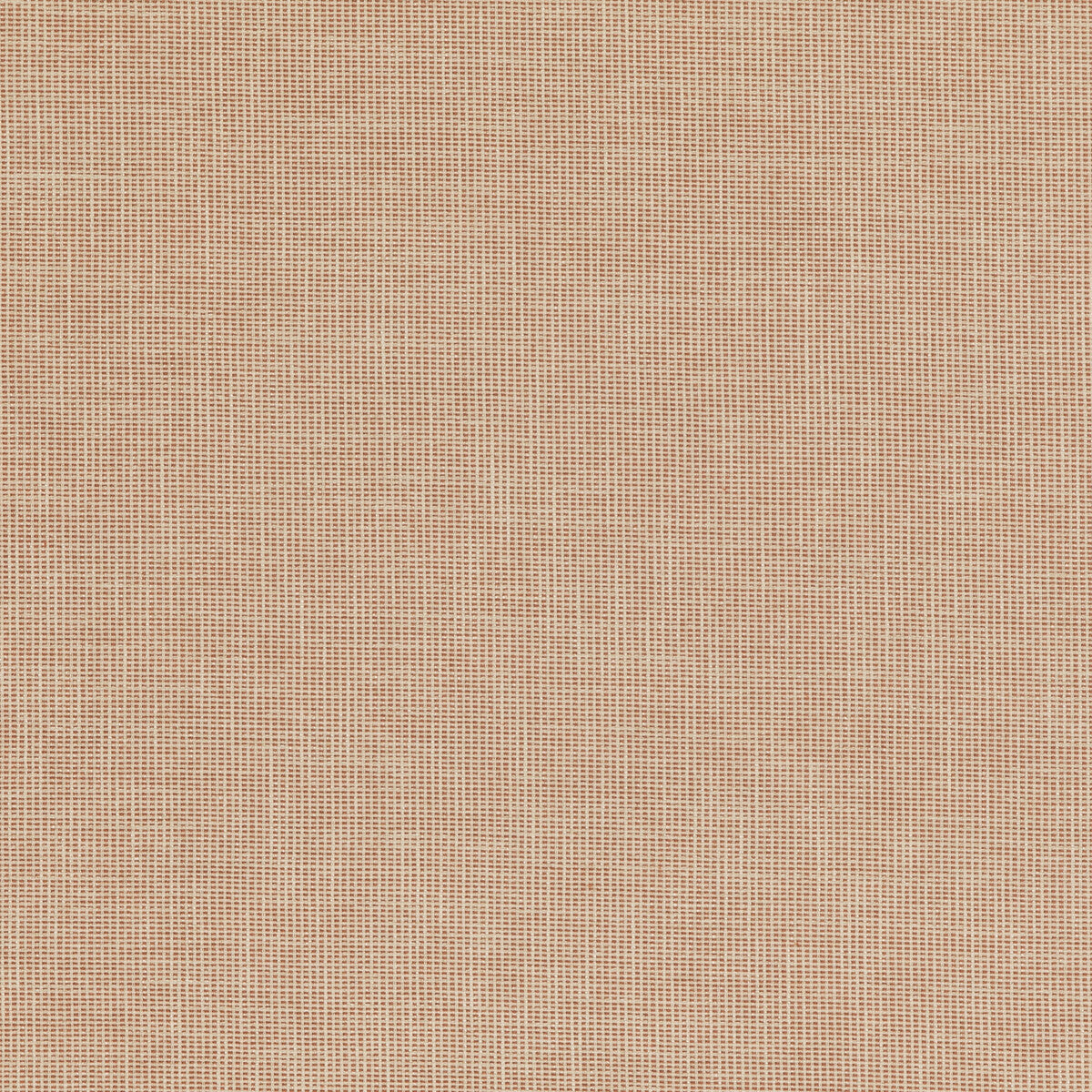 Folly-Spice