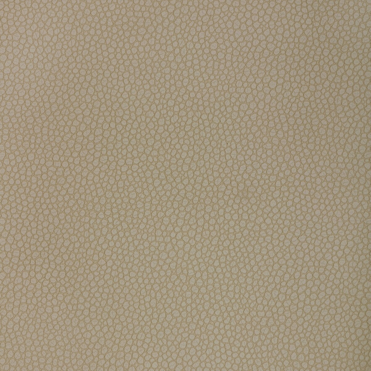 Kravet Design-Pietra-121