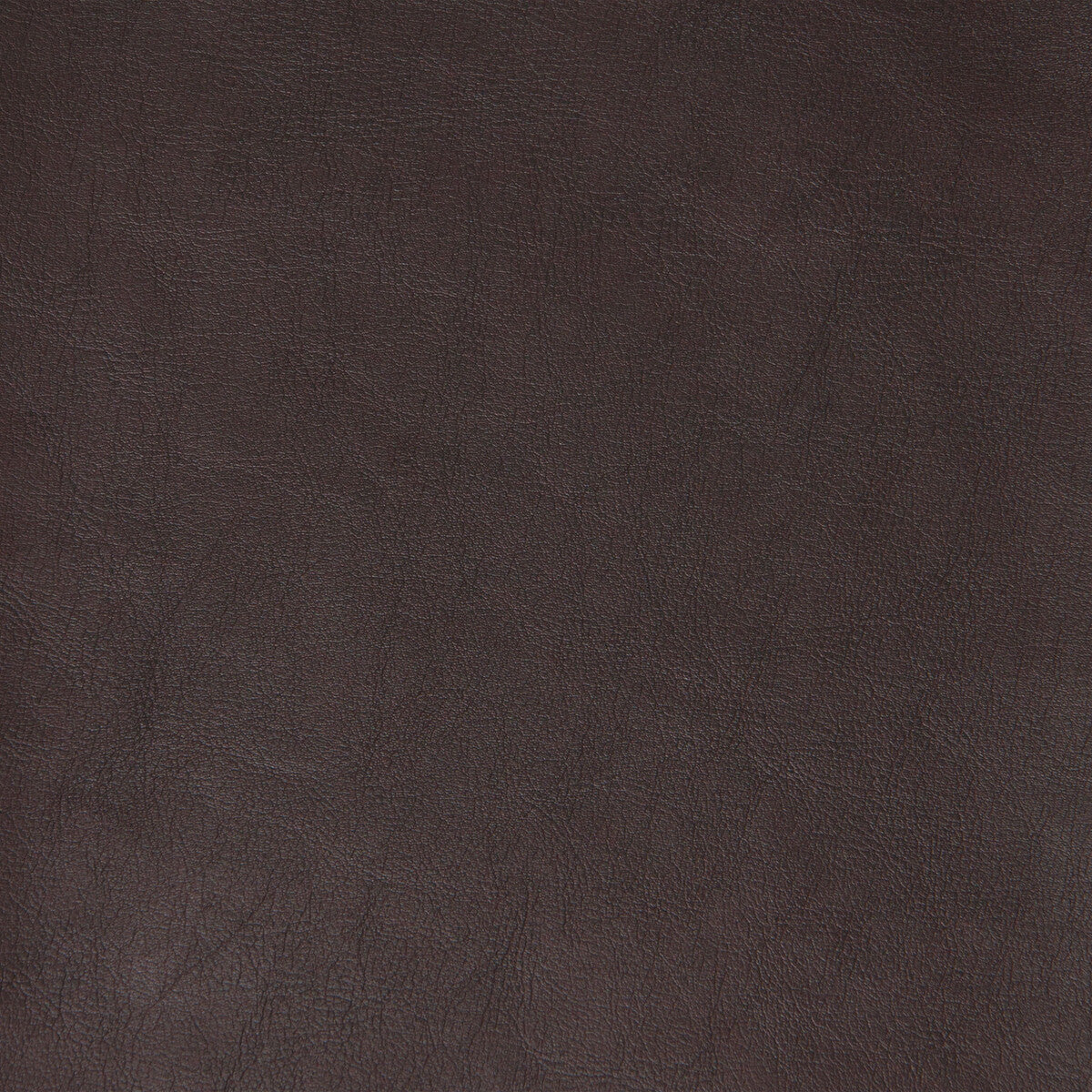 Kravet Design-Plato-6