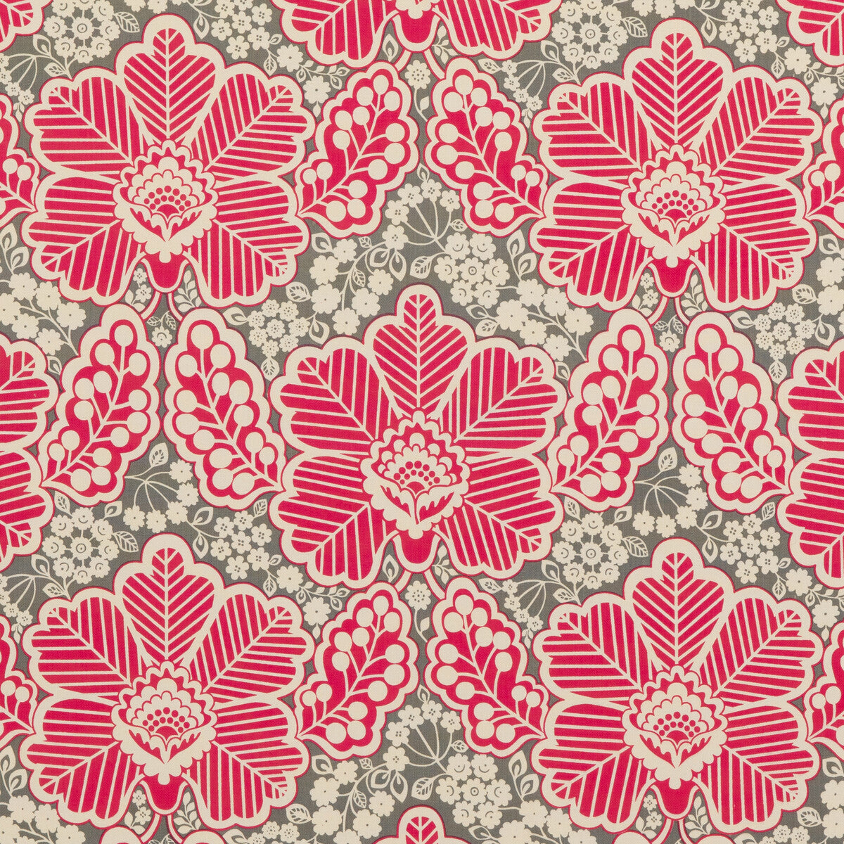 Arbour-Fuchsia