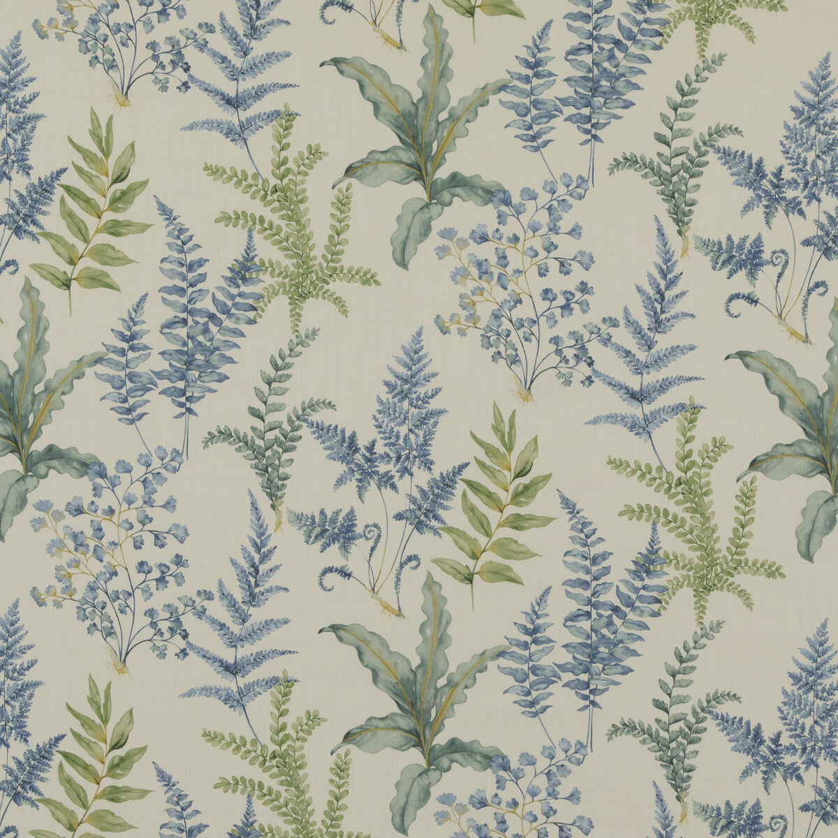 Ferndown-Blue