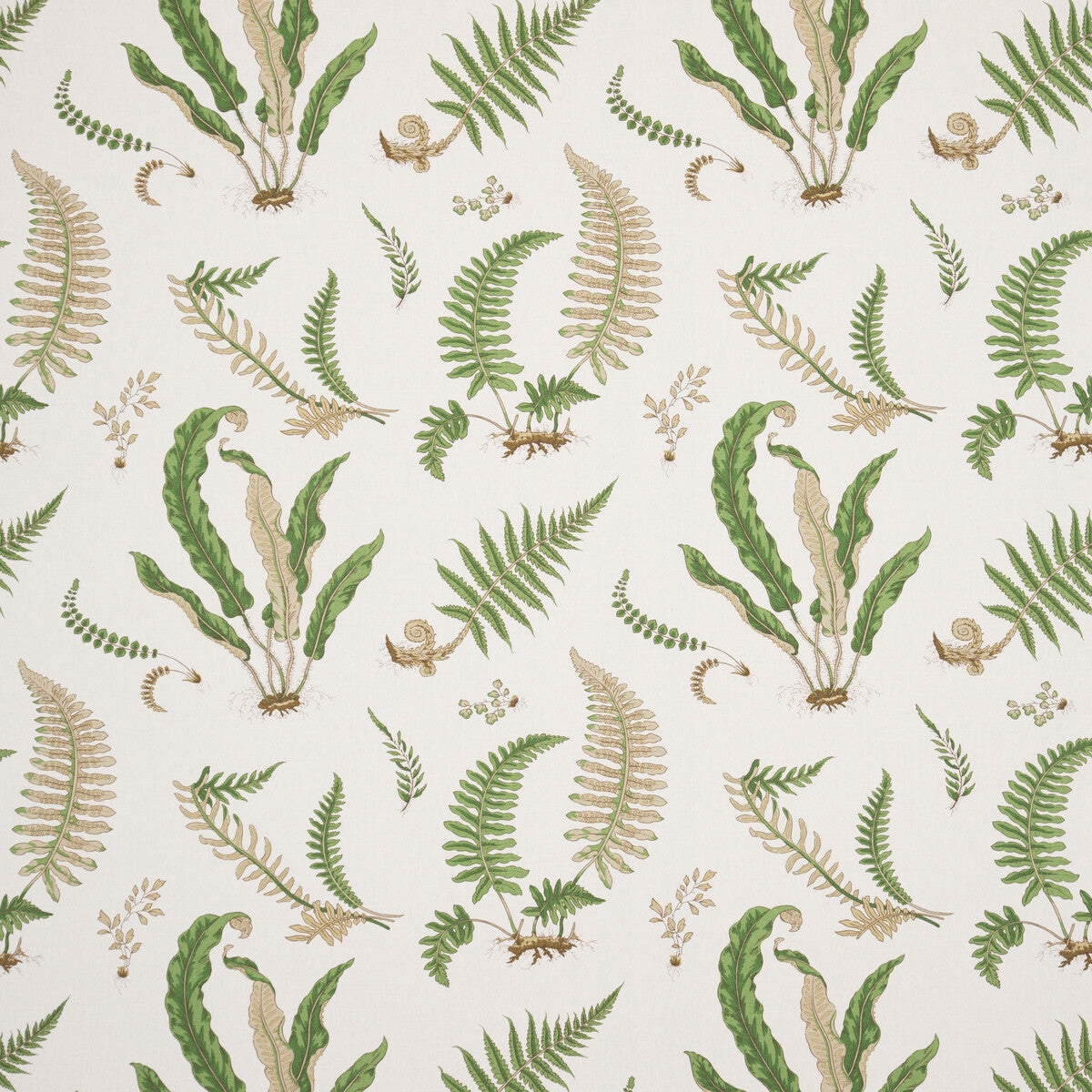 Ferns Linen-Stone/Green
