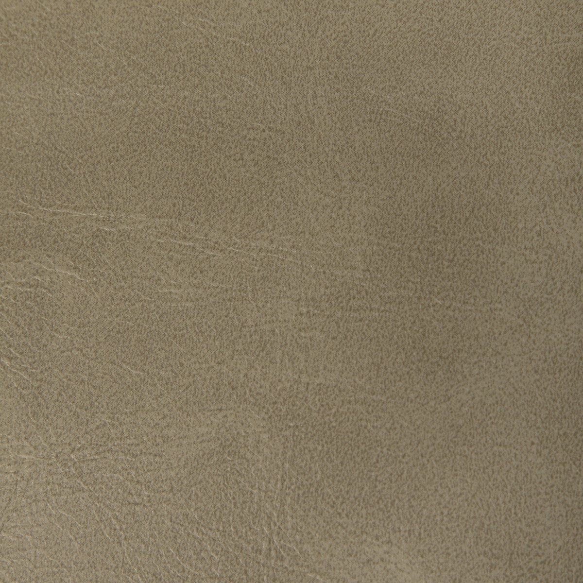 Rambler-Antler