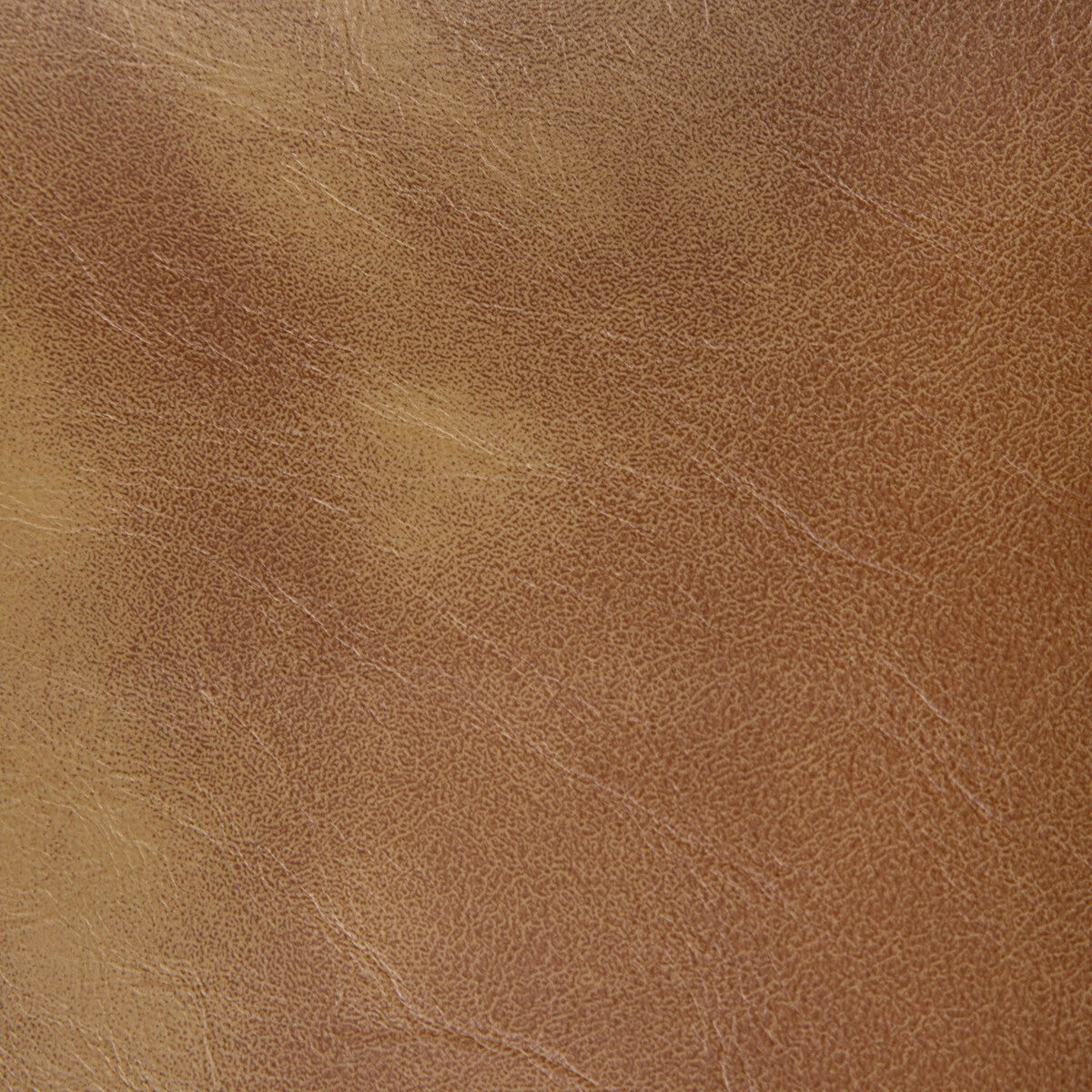 Rambler-Saddle