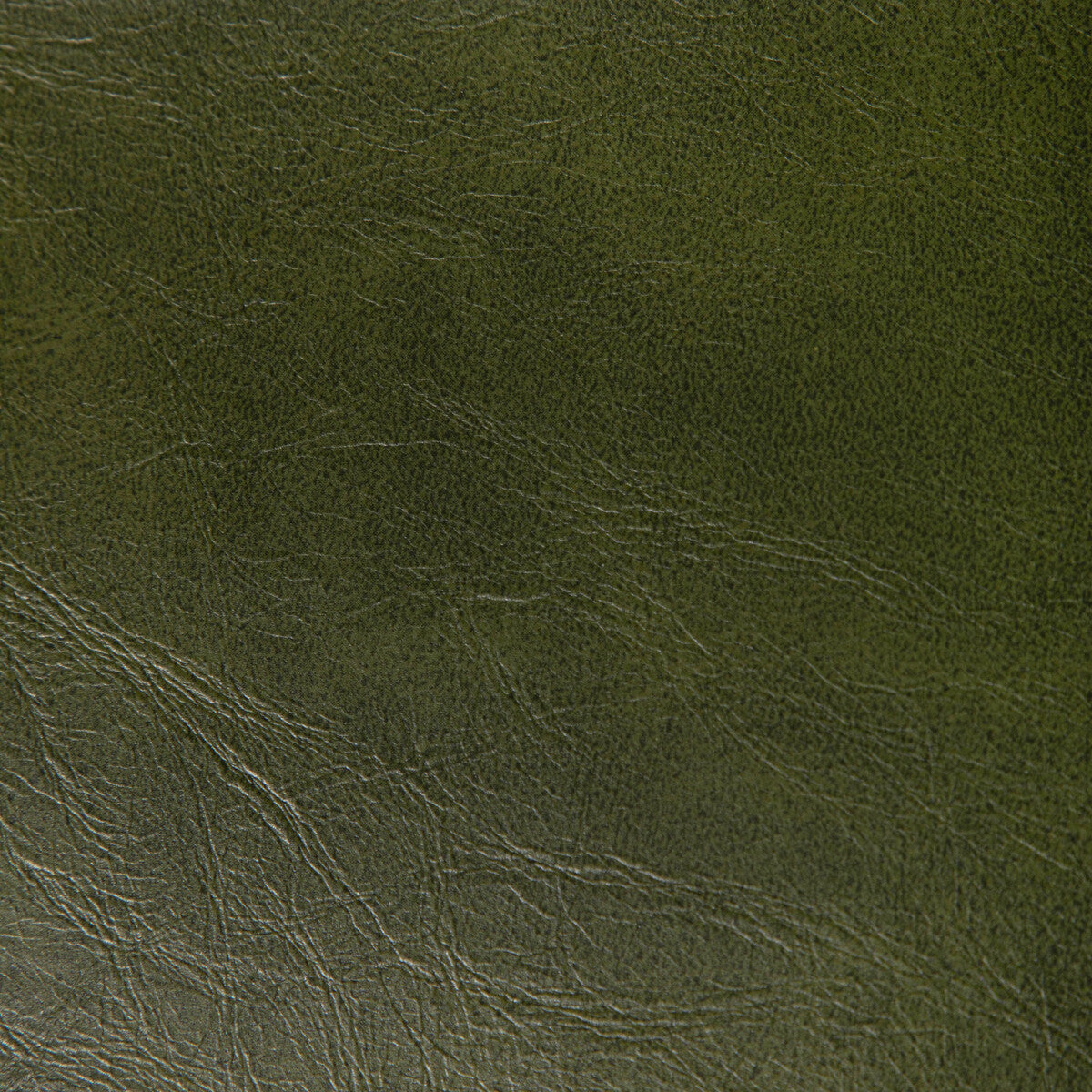 Rambler-Verde