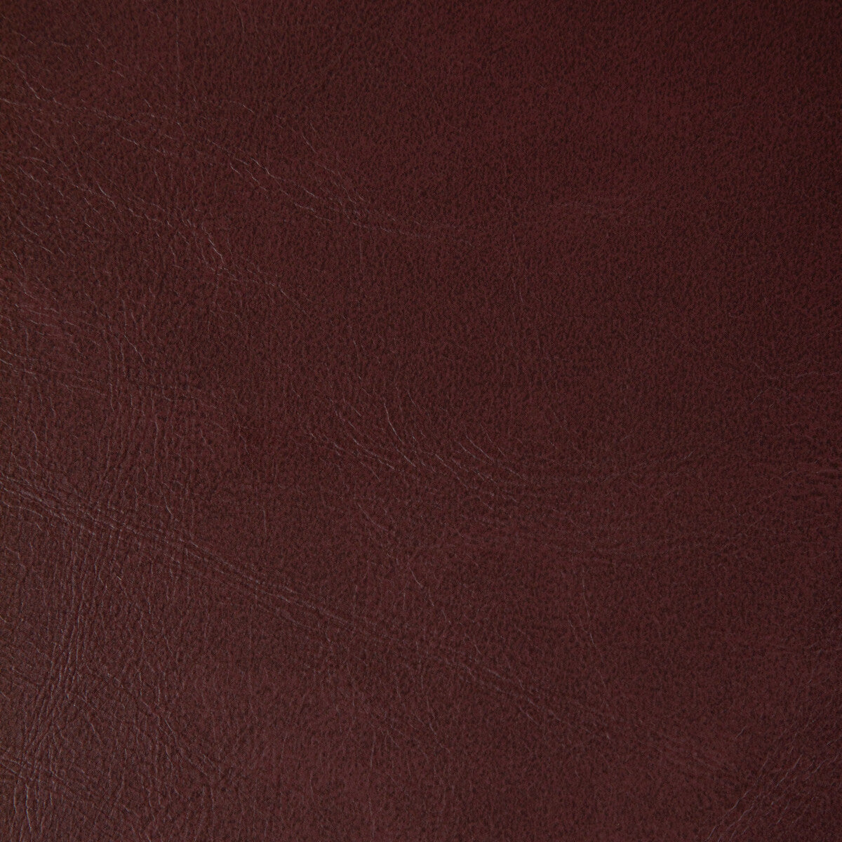 Rambler-Garnet