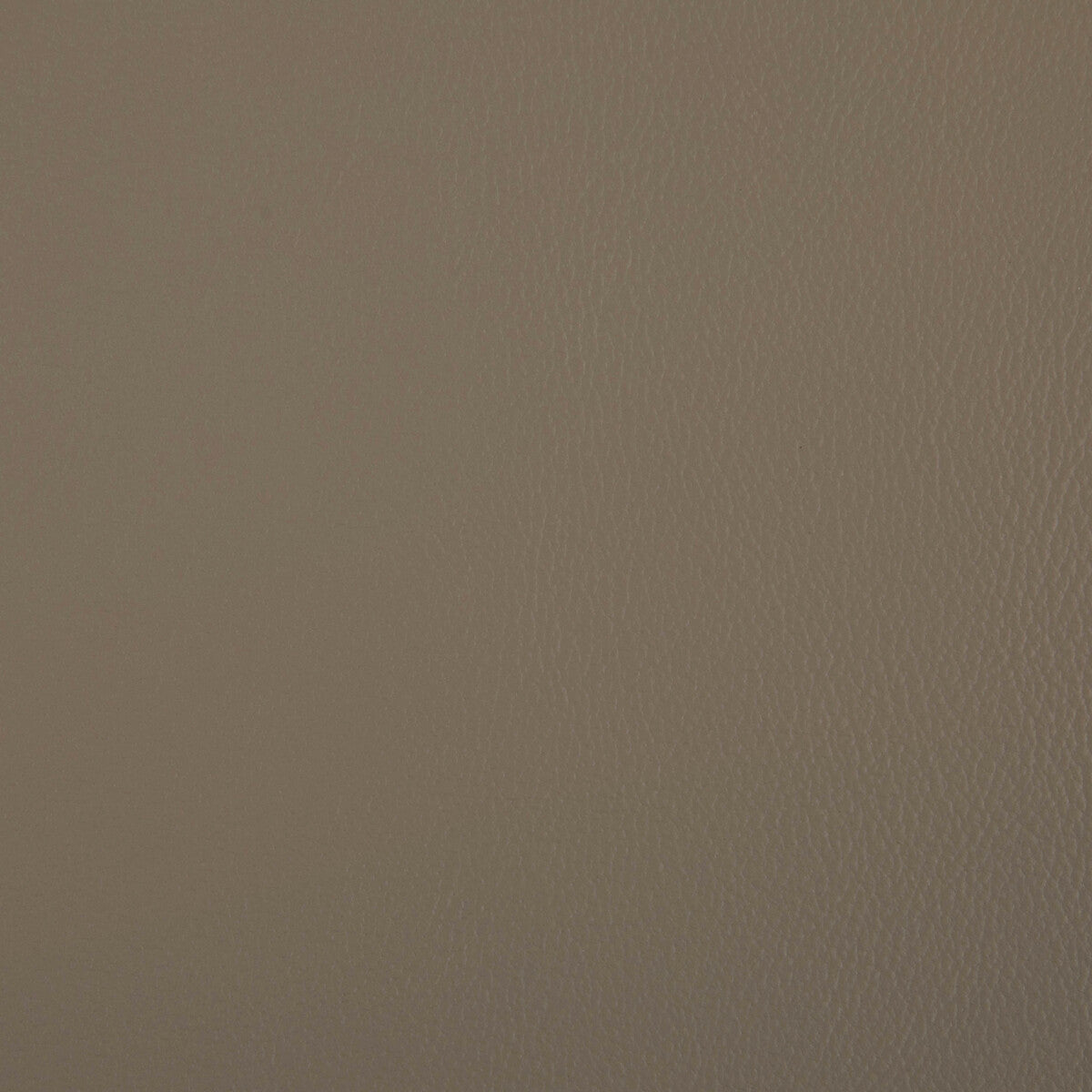 Rand-Dune