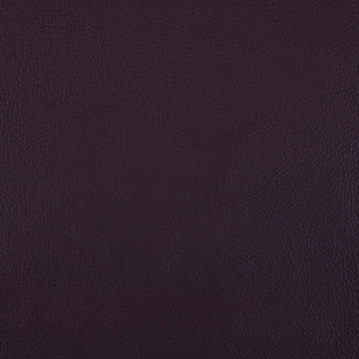Rand-Plum