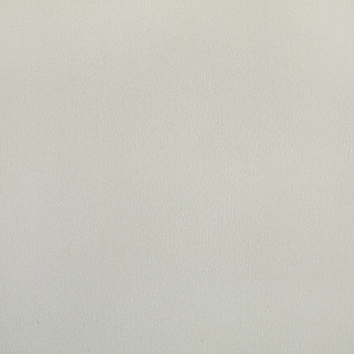 Rand-Fog